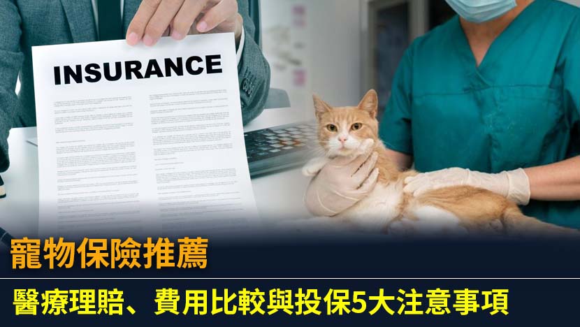 想為您的毛小孩投保寵物保險嗎？本篇完整指南將由專家為您深入解析寵物保險的醫療理賠範圍、各家方案費用比較,並點出投保前必知的5大陷阱與注意事項,助您輕鬆選擇最合適的保障,守護愛寵健康。